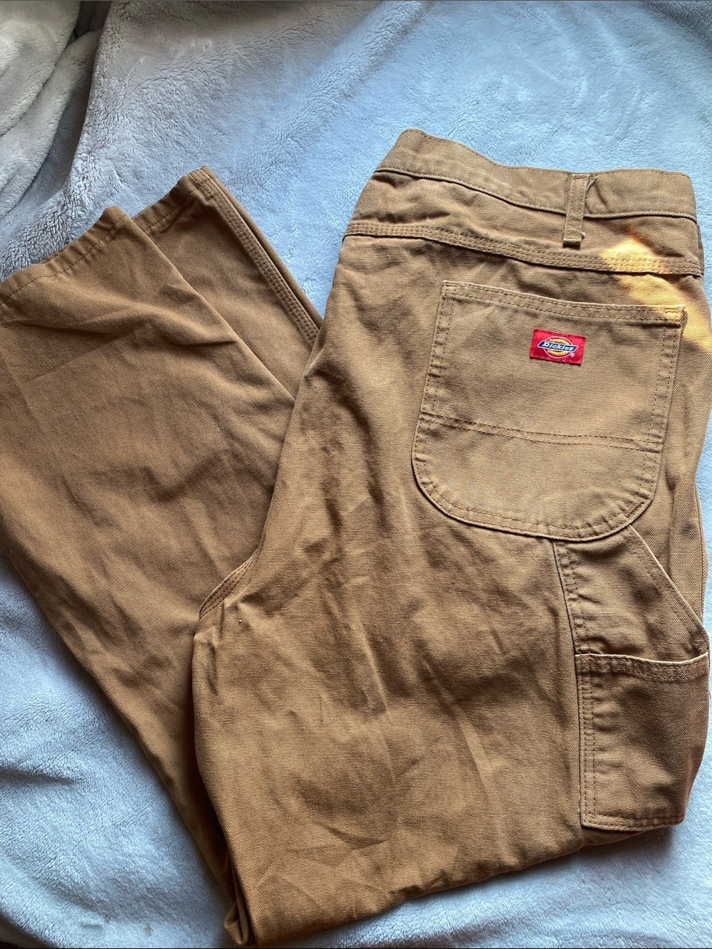 Dickies Men’s Cargo Work Pants in Brown